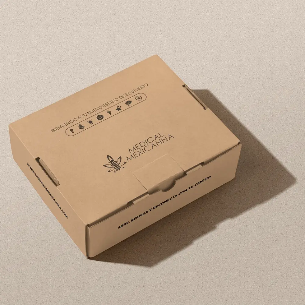 Presentación vista 2